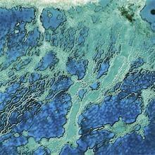 Bestselling Science DVDs