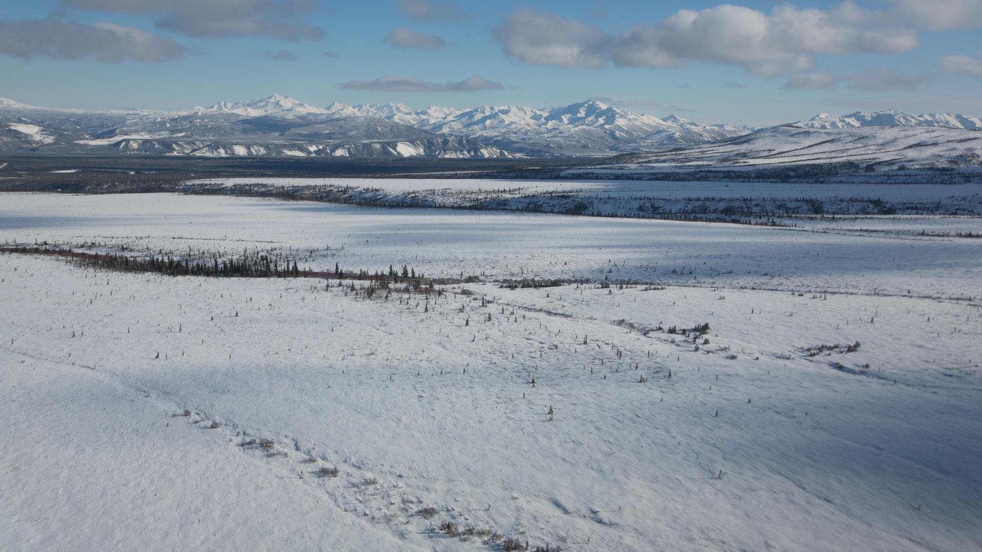 Photo of Healy, Alaska wilderness.