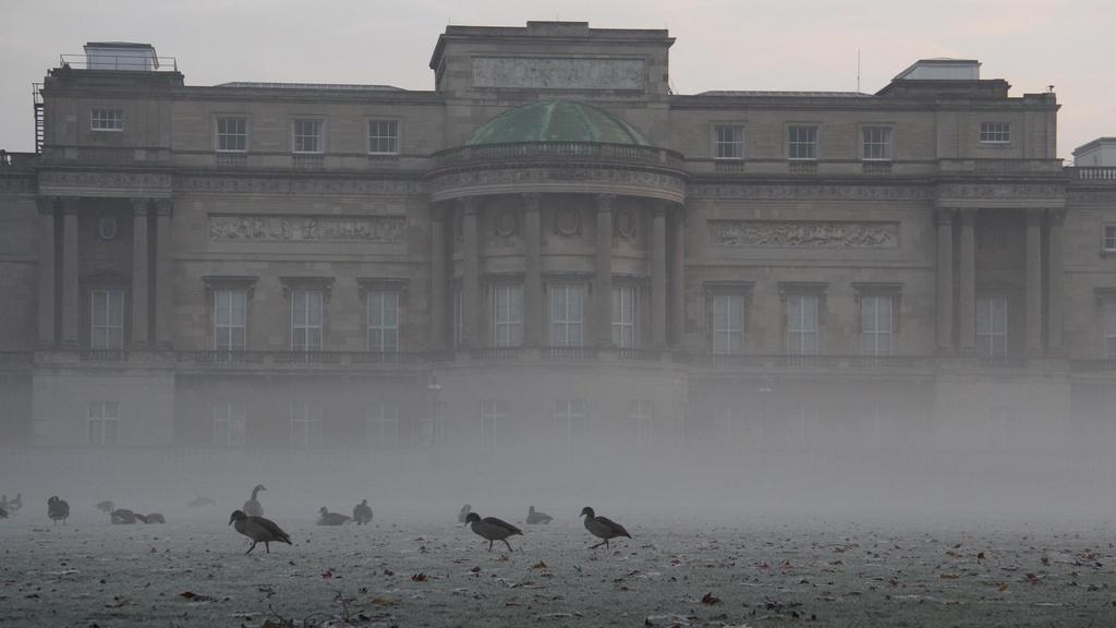 Misty winter morning at Buckingham Palace with geese on the lawn.
