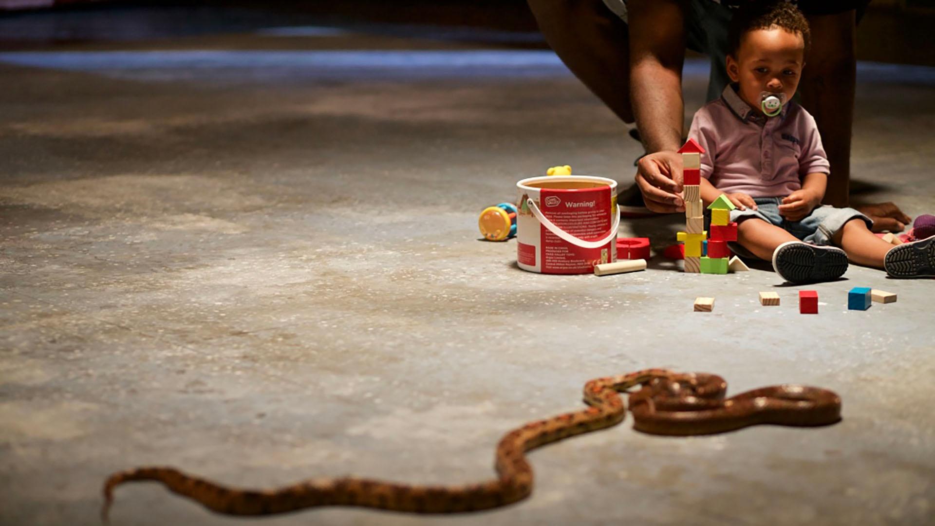 A young boy looks worried as two snakes writhe near his toys.