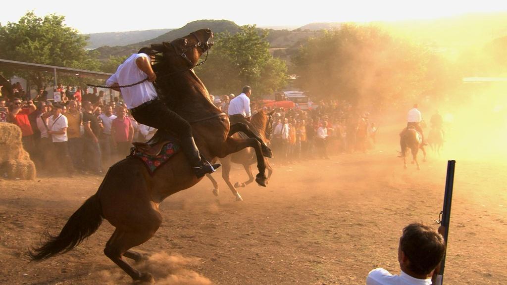 Motion: A rider struggles to keep his horse under control in the Ardia.