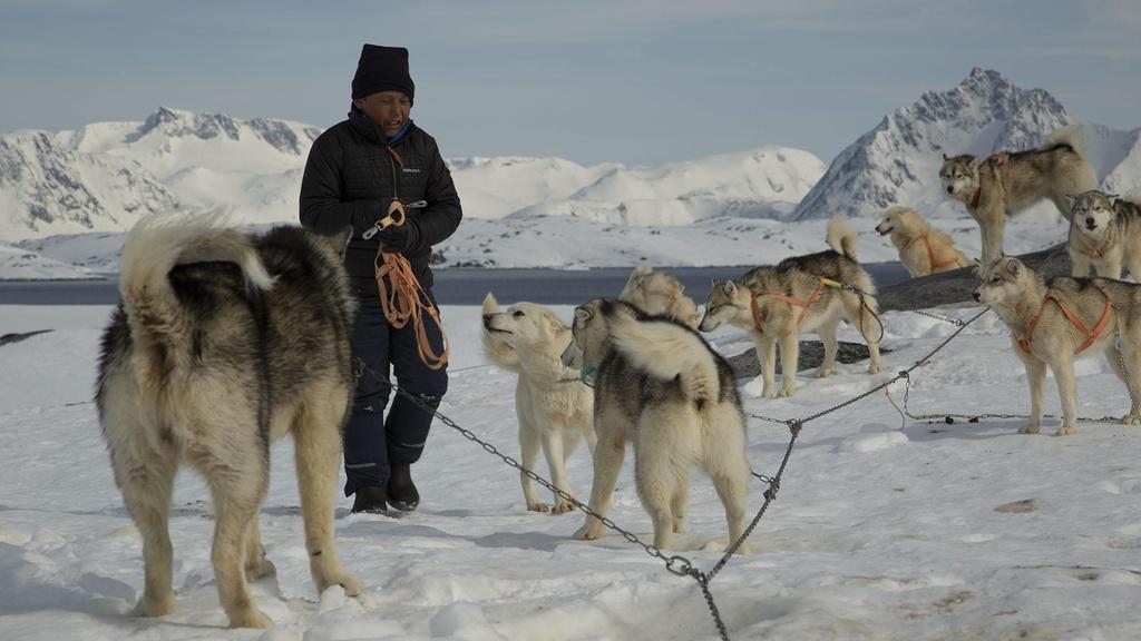 Motion: Malik in Tasiilaq, Greenland.