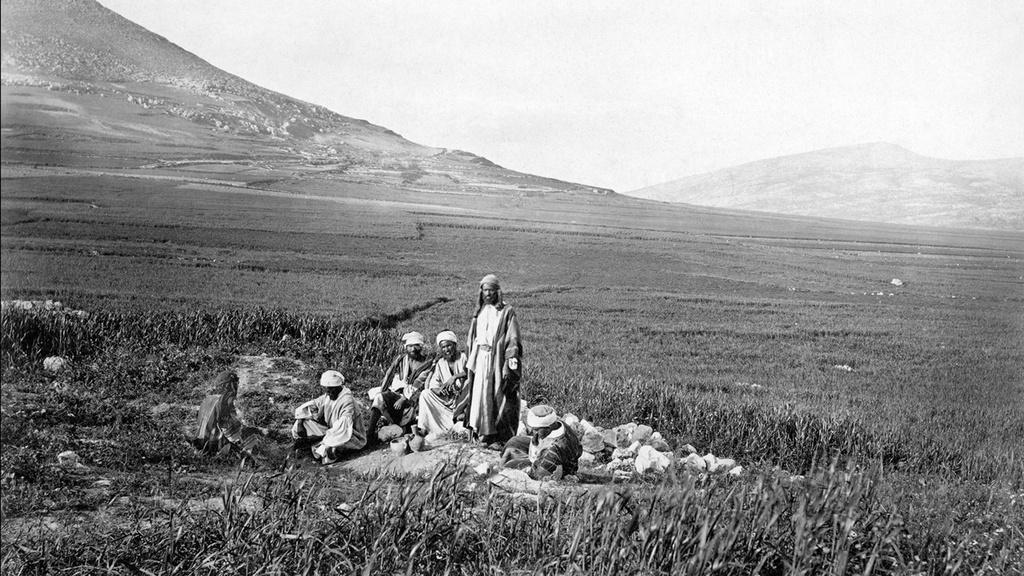 Coastal lowlands of Palestine. Most local Arabs found this area unsuitable for farming.