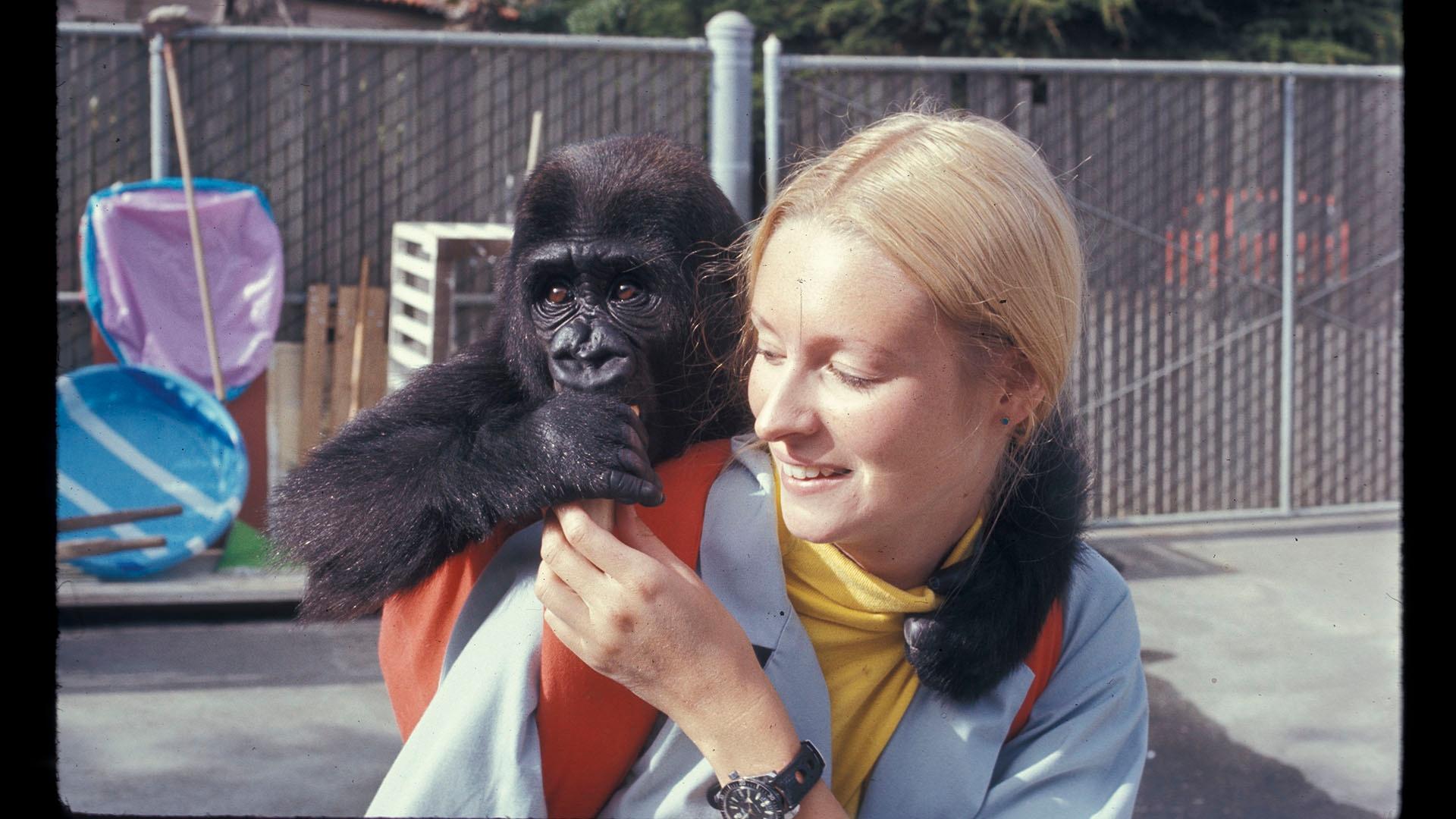 Koko & Penny Patterson. Koko on Penny’s shoulder. San Francisco Zoo.