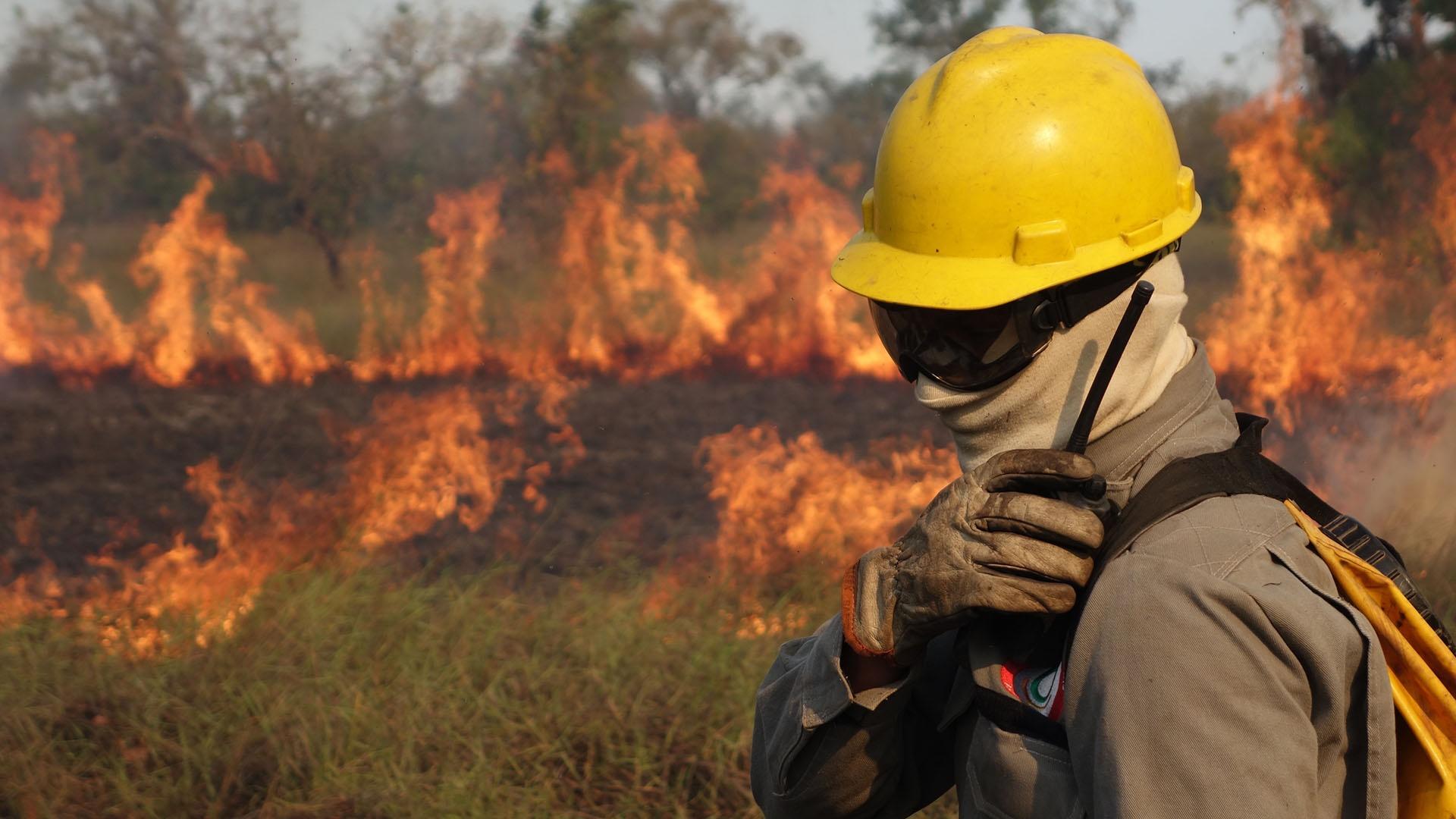Firefighters tackle blaze in Amazon rainforest.