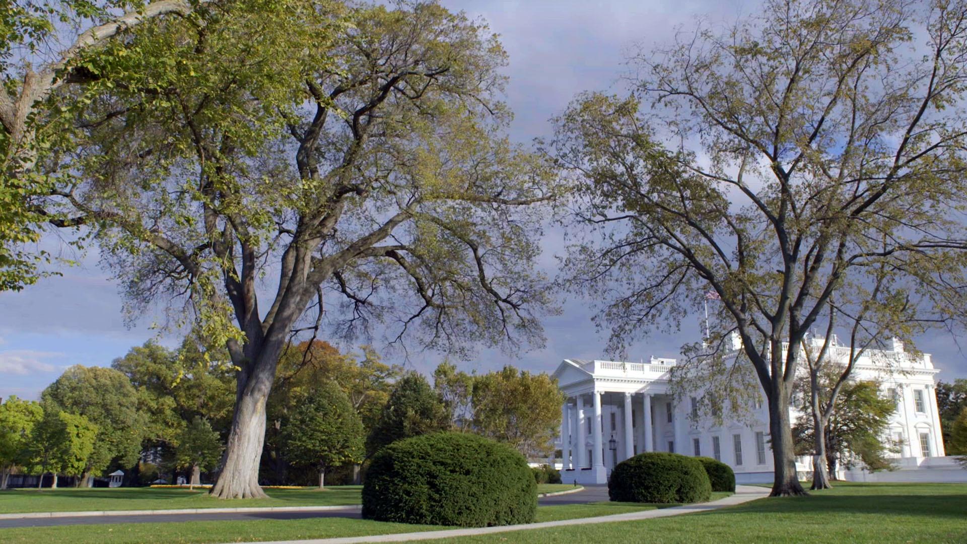 North View of White House in the afternoon.