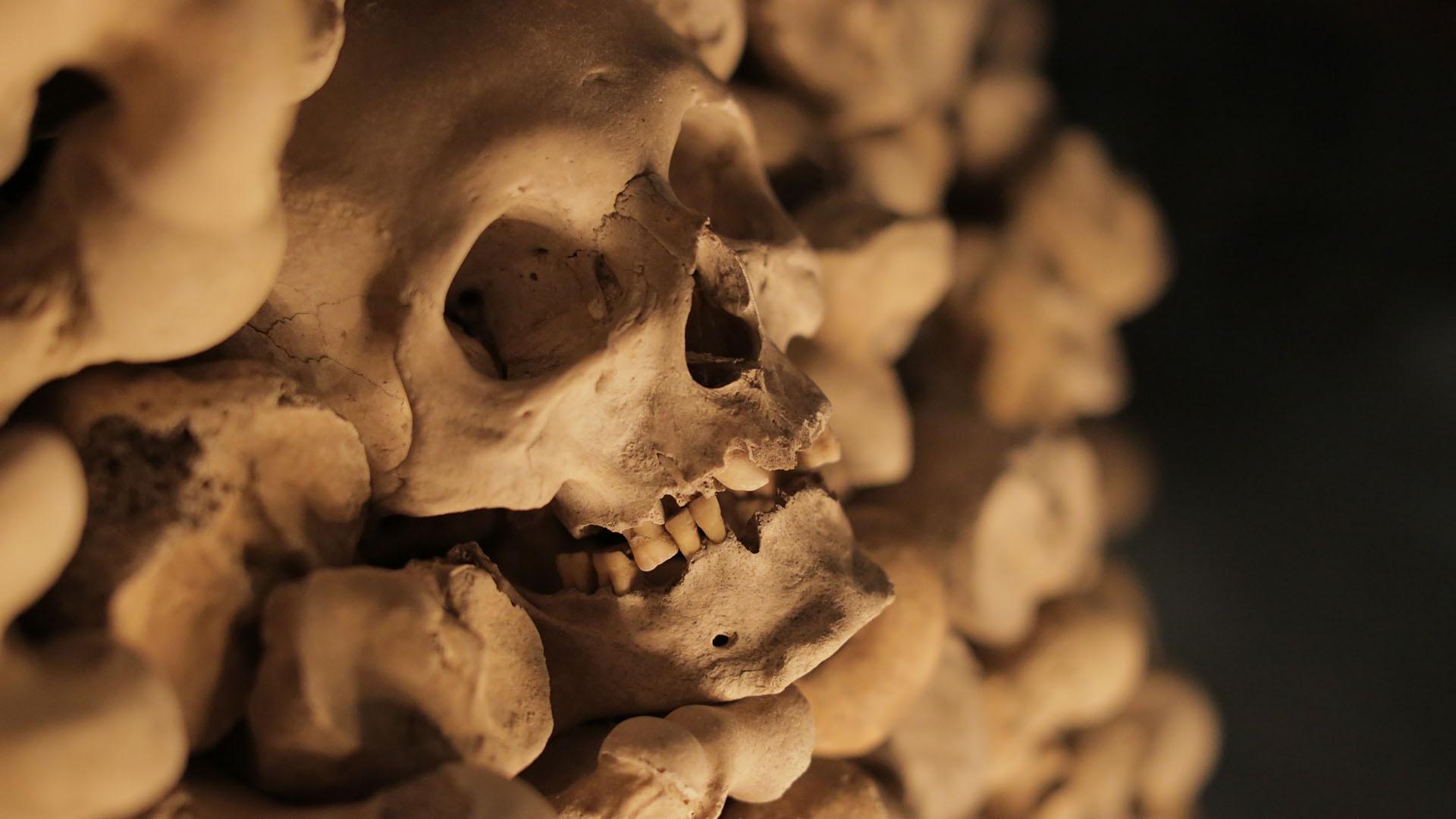 Skulls in a bone crypt at St. Leonard Church, Hythe.