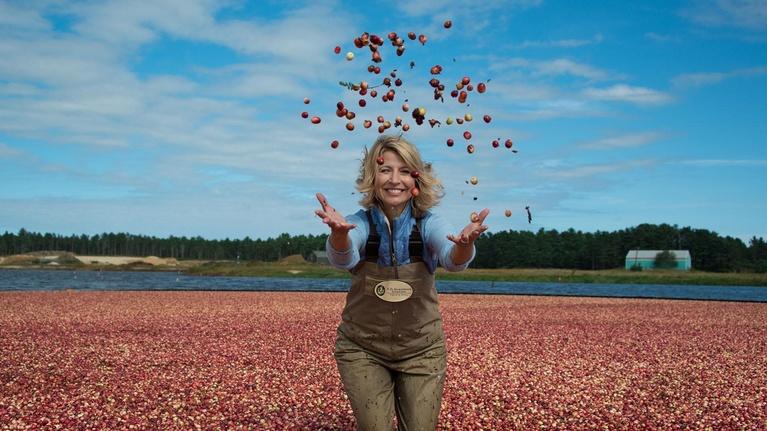 Autumnwatch New England