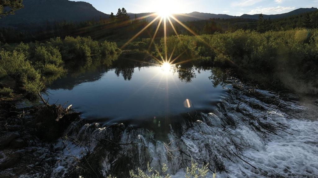 Water from melting snowpack glides over a beaver dam.