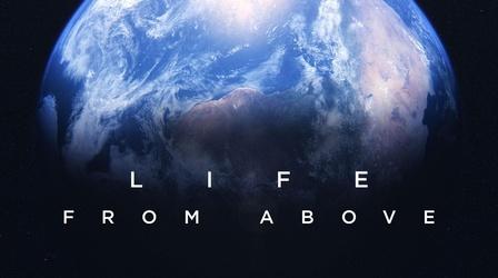 Video thumbnail: Preview
