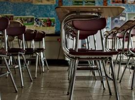 Doubts About Neuroeducation