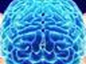 The Future of Brain Transplants