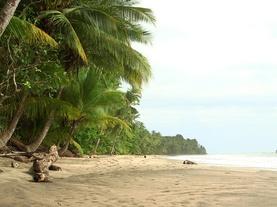 How Panama Changed the World