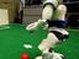 Soccer-Playing Robots