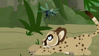 Wild Kratts