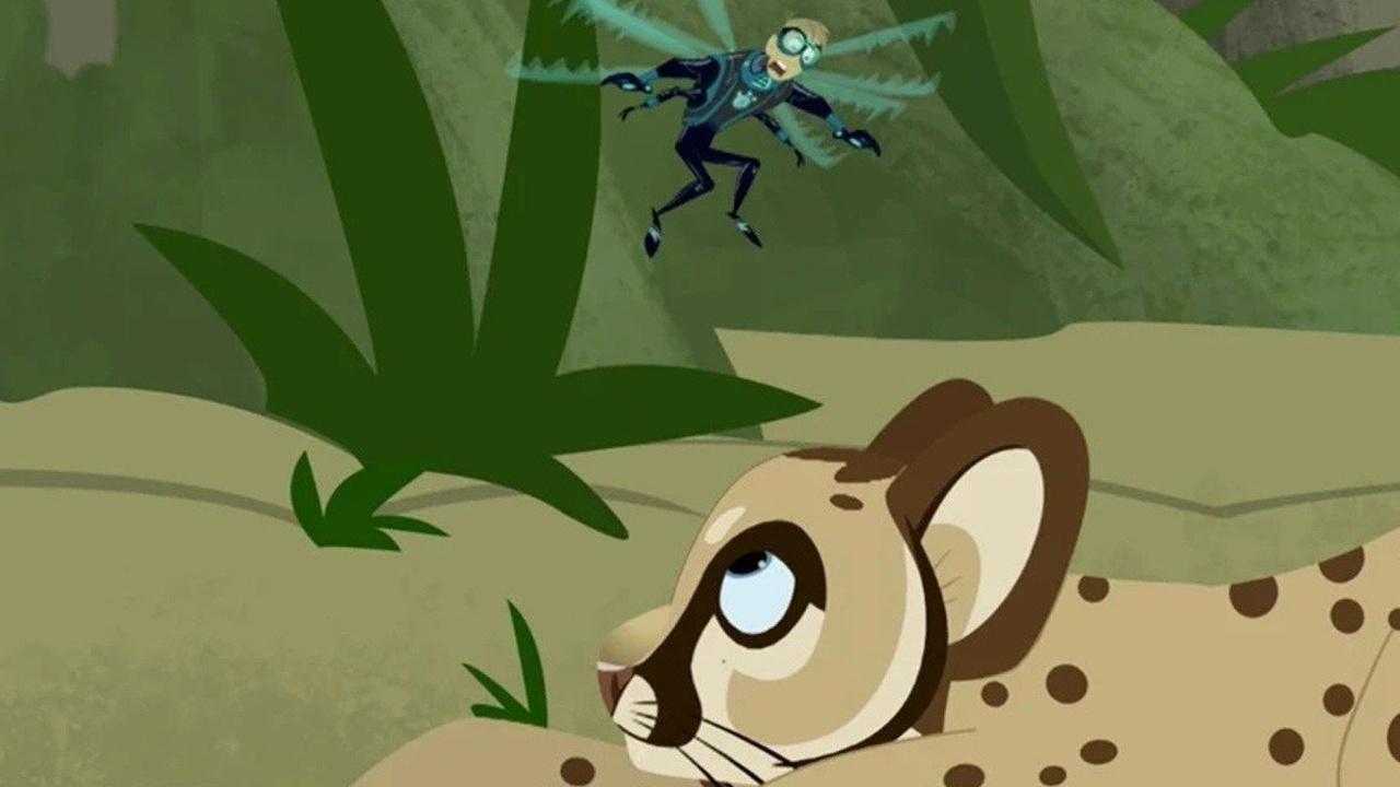 Wild Kratts Search for the Florida Panther