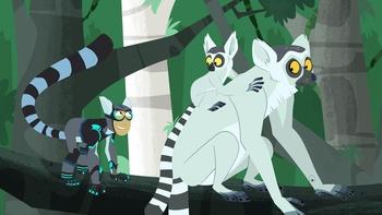 Wild Kratts