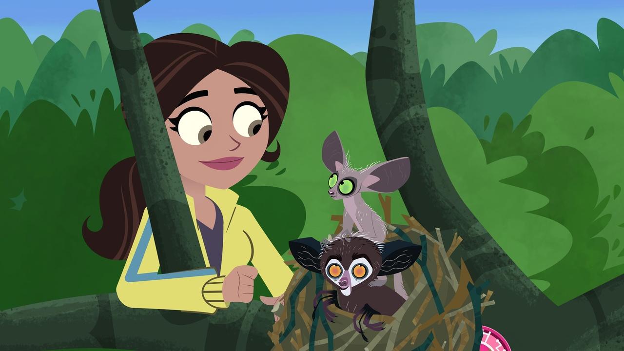 Wild Kratts Tenrec Treasure Hunt