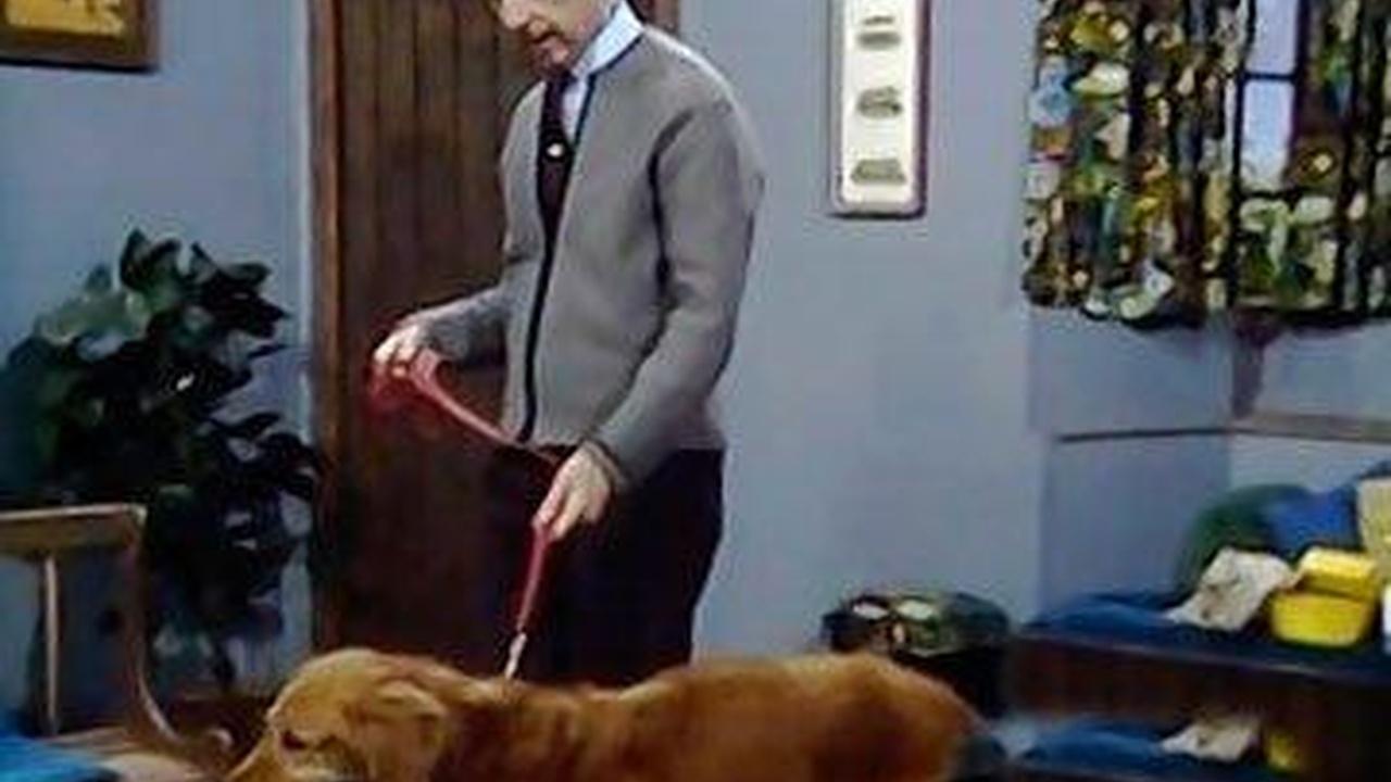 Mister Rogers' Neighborhood Respecting All Living Creatures