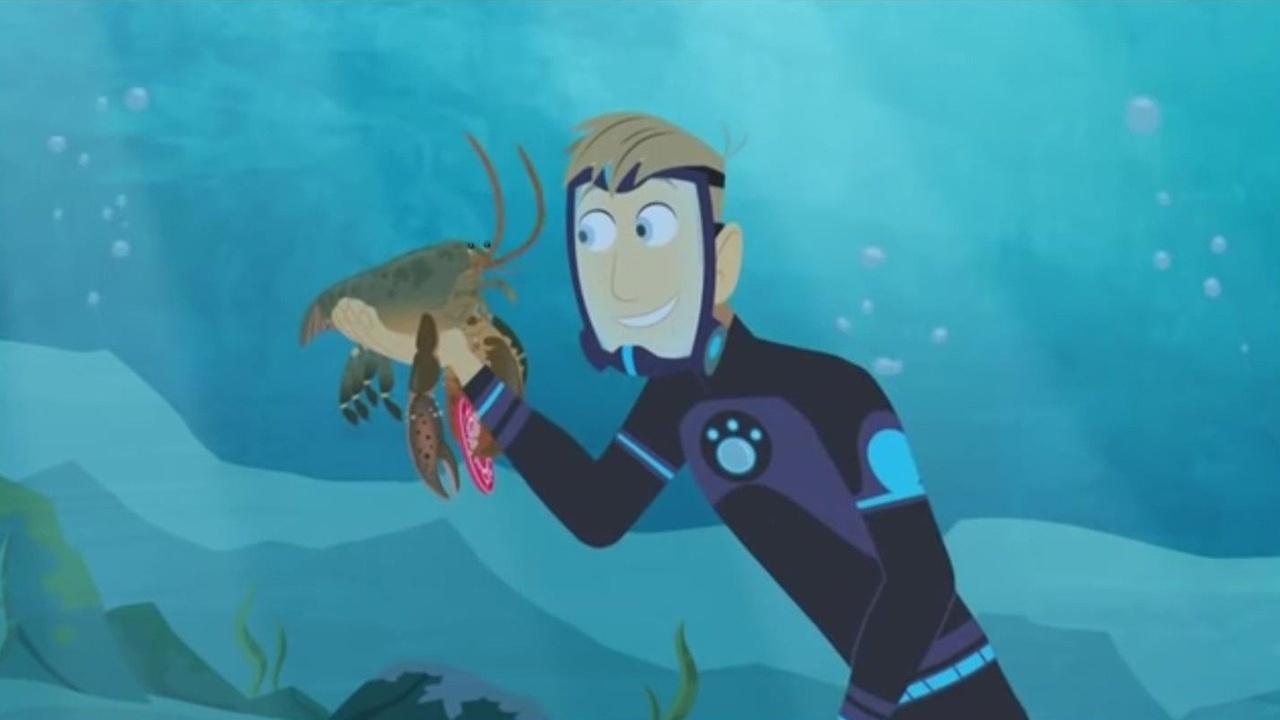 Wild Kratts Lobster | atelier-yuwa.ciao.jp