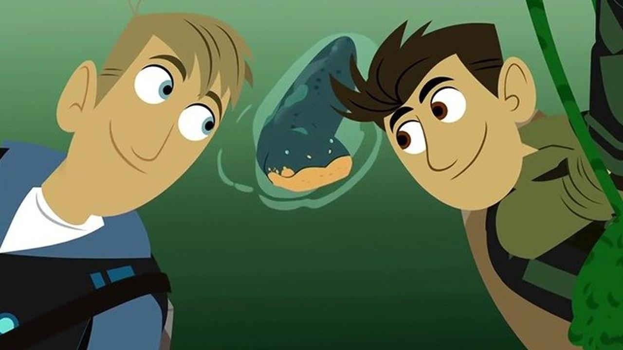 Wild Kratts Eel-lectric!