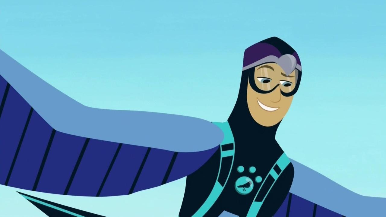 Wild Kratts The Other Martins