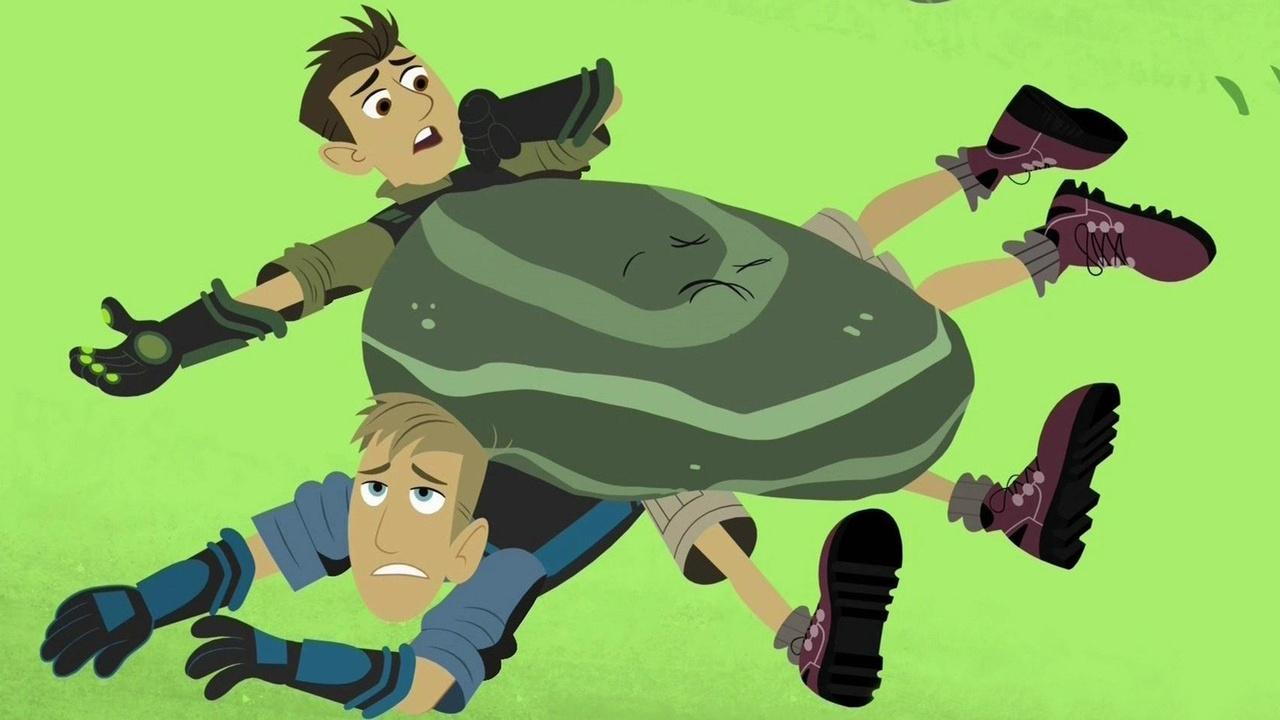 Wild Kratts Spirit Bear