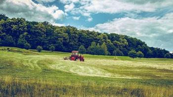 Timeless Tractors: The Collectors