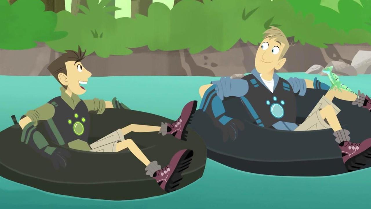 Wild Kratts This Orca Likes Sharks Wild Kratts This Orca Likes Sharks