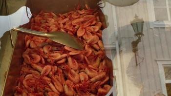 Islands Without Cars