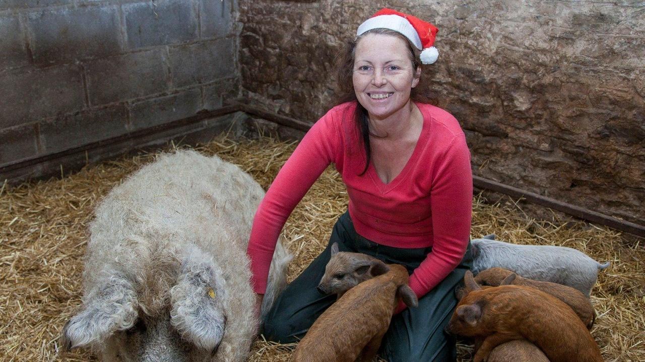 The Yorkshire Vet Christmas Special The Yorkshire Vet Christmas Special