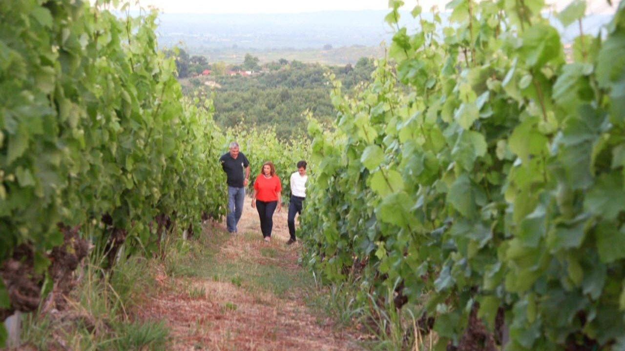 My Greek Table With Diane Kochilas A Bite of Greek Red Wine On PBS