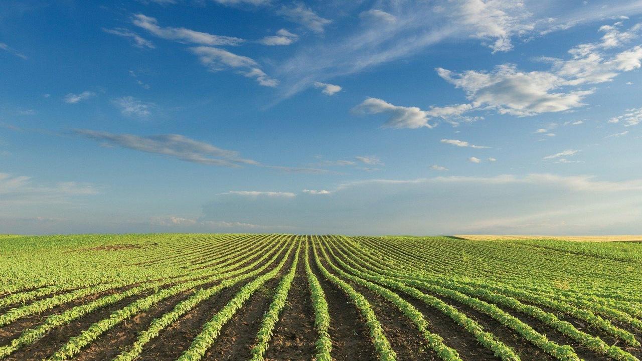Spotlight on Agriculture RFSI