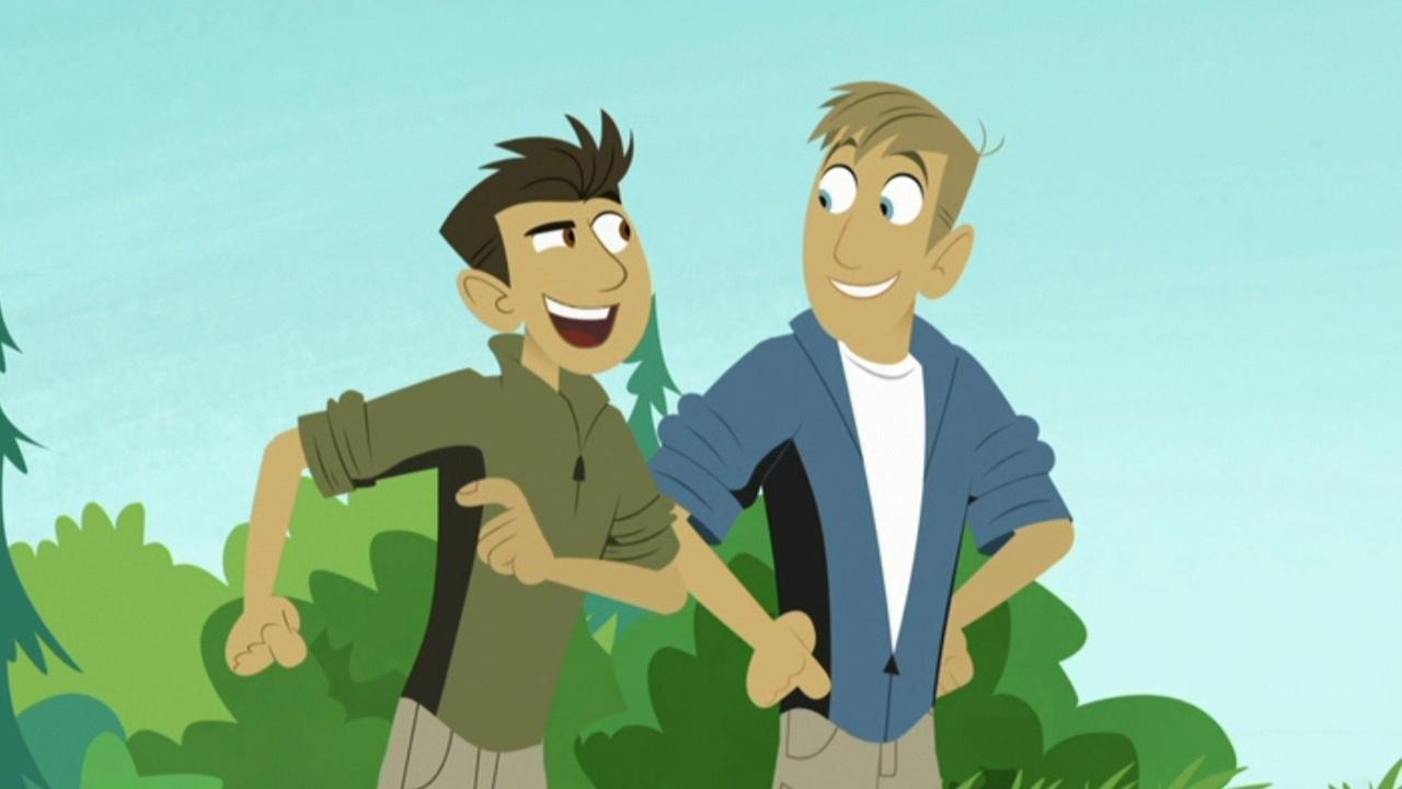 Wild Kratts Choose Your Swordfish