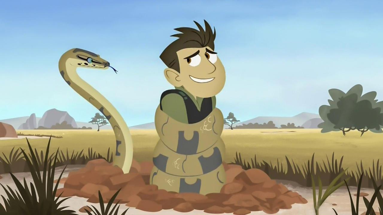 Wild Kratts The Fourth Bald Eagle