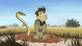 Wild Kratts