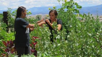 Return: Native American Women Reclaim Foodways for Health & Spirit