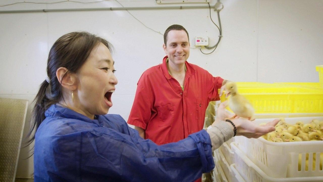 Lucky Chow Food as Global Locavore airing Wed, Oct 28 10:30 am