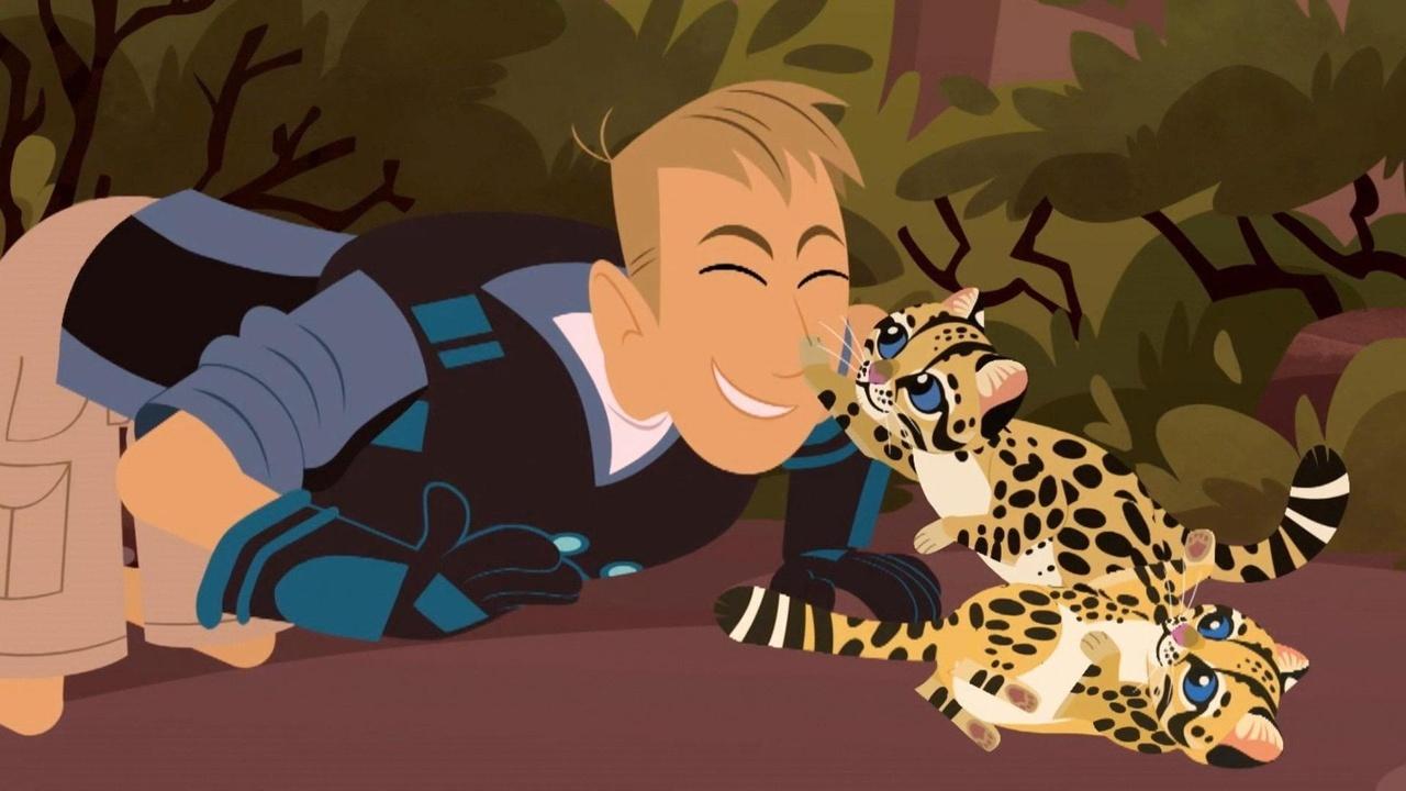 Wild Kratts Spots in the Desert