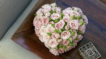 J Schwanke's Life in Bloom