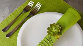 J Schwanke's Life in Bloom