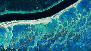 Life From Above