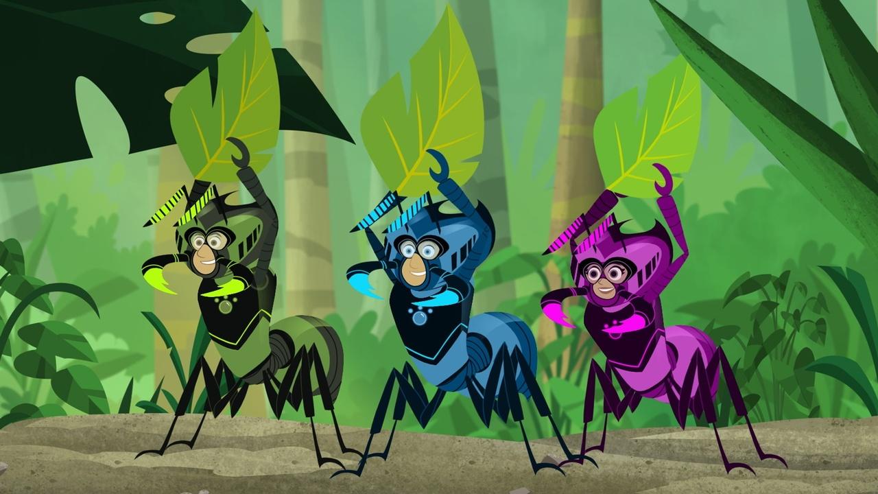 Wild Kratts The Real Ant Farm | On PBS Wisconsin