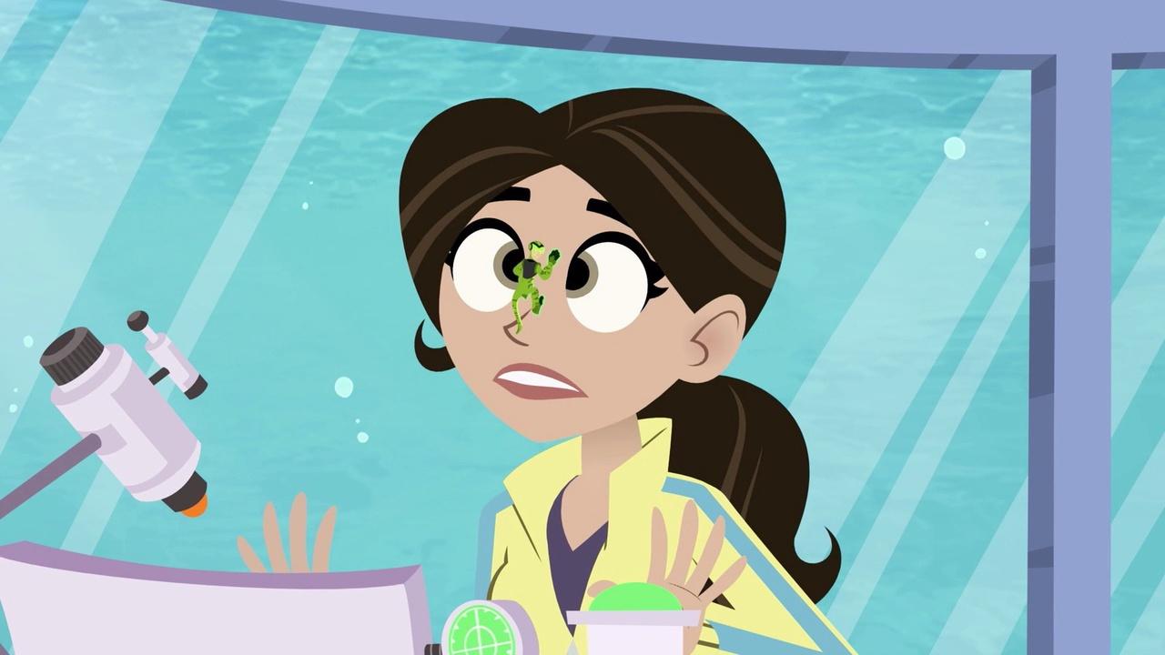 Wild Kratts The Vanishing Stingray