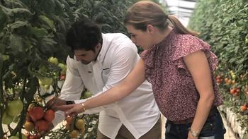 Pati's Mexican Table