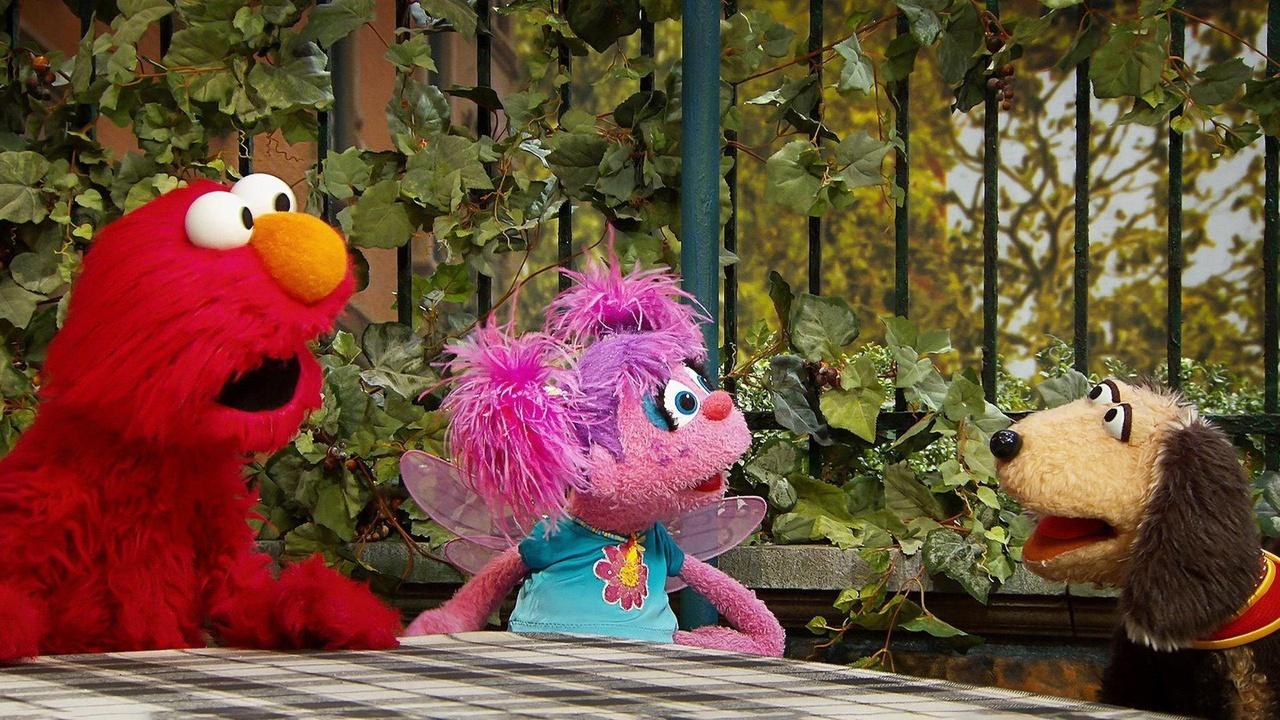 Sesame Street A Dog and a Song On Alabama Public Television