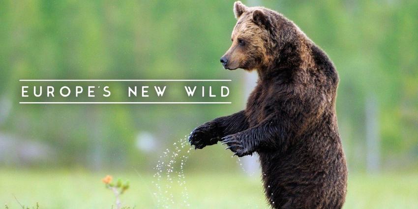 Europe's New Wild