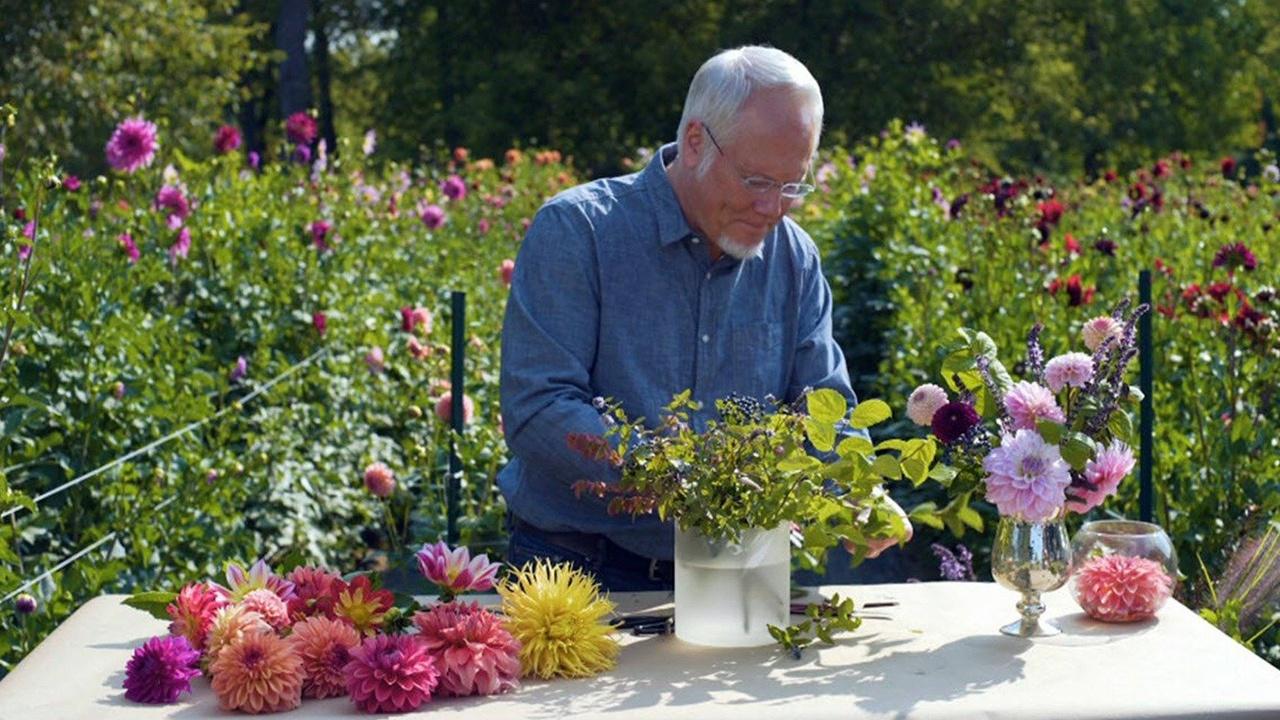 J Schwanke's Life in Bloom Beauty From the Flower Farm