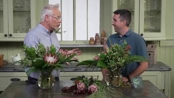 J Schwanke's Life in Bloom