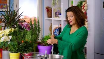 My Greek Table With Diane Kochilas